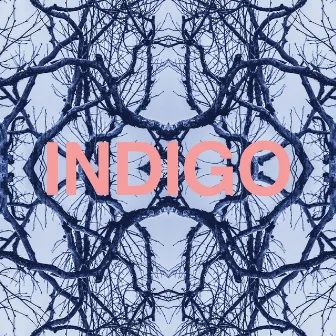 Indigo by Mutt.