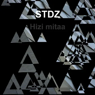 Hizi Mitaa by STDz