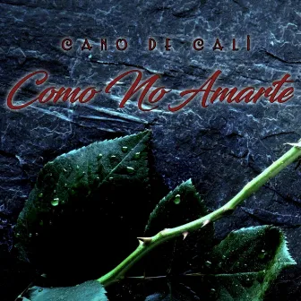 Como No Amarte by Cano de Cali