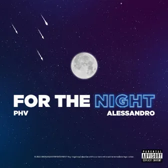 For The Night by Alessandro