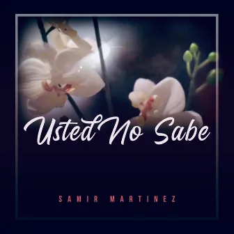 Usted No Sabe (Remix) by Samir Martinez