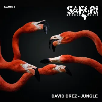 Jungle by David Drez