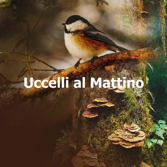 Uccelli al Mattino by Club di Relax Mentale