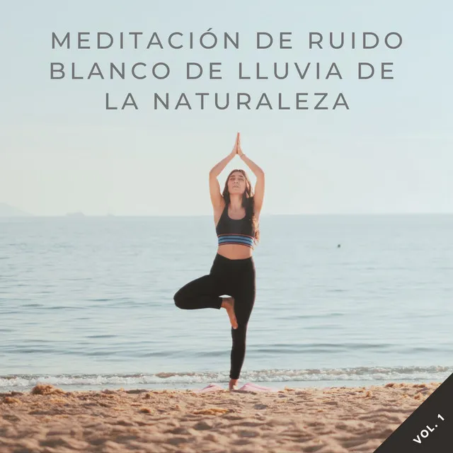 Meditación De Ruido Blanco De Lluvia De La Naturaleza Vol. 1