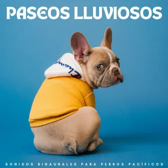 Paseos Lluviosos: Sonidos Binaurales Para Perros Pacíficos by Club de música para perros