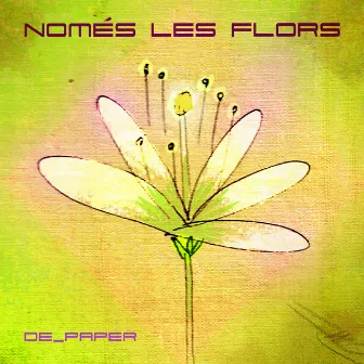 Només les flors by De paper