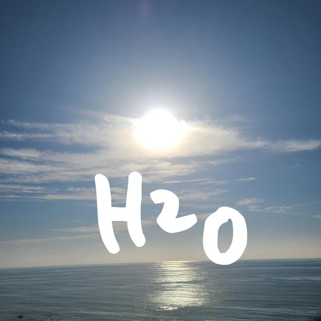 H2O