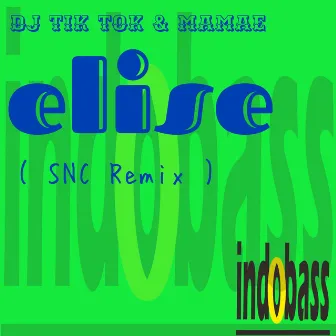 Elise ( SNC Remix ) by DJ Tik Tok