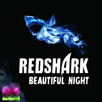 Beautiful Night by Redshark