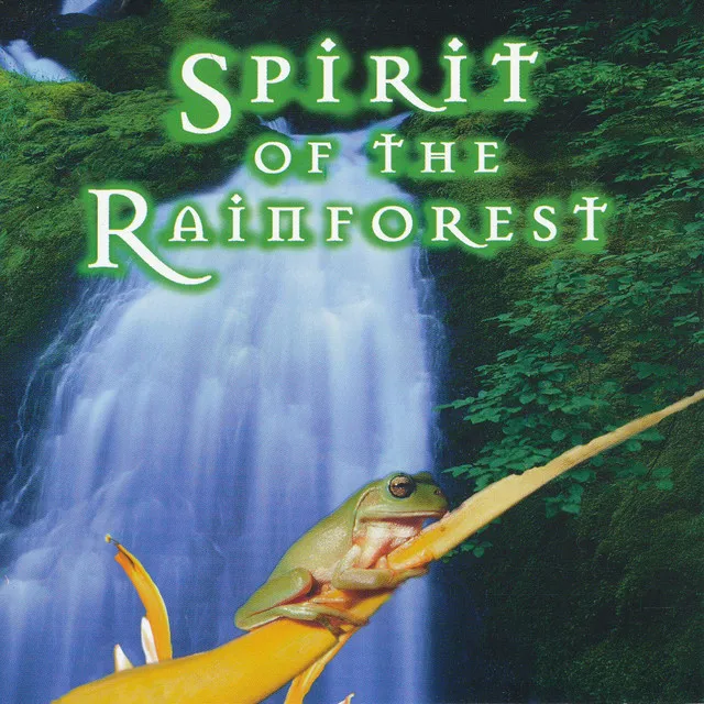 Spirit Of The Rainforest