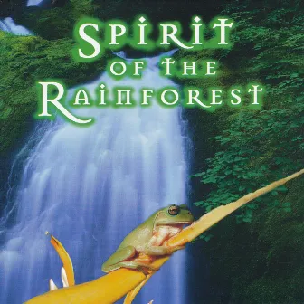 Spirit Of The Rainforest by Murdo McRae