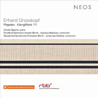 Erhard Grosskopf: Plejaden, Op. 56 & KlangWerk 11, Op. 64 (Live) by Vykintas Baltakas