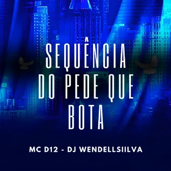 SEQUENCIA DO PEDE QUE BOTA by Dj WendellSiilva