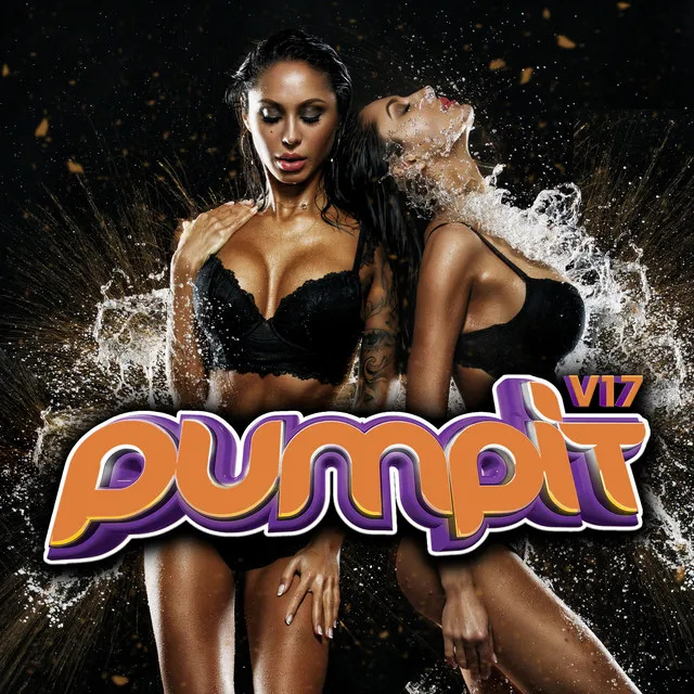 Pump It, Vol. 17 Megamix (Mixed)