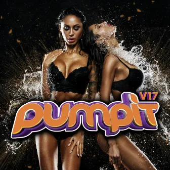 Pump It, Vol. 17 by Christian Bartasek