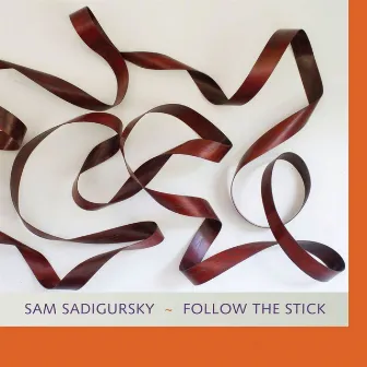 Follow the Stick by Sam Sadigursky