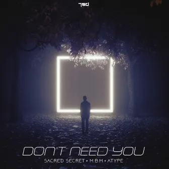 Don't Need You by M.B.H