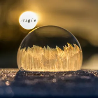 Fragile by Lennie Rhoads