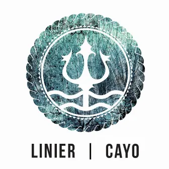 Another Love (feat. CAYO) by Linier