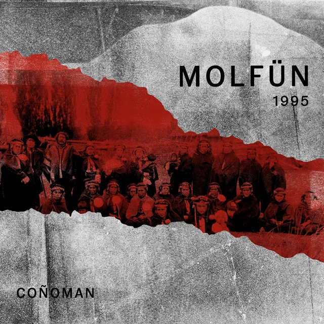 Molfün 1995