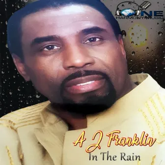 In the Rain by A.J. Franklin