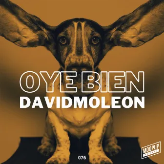 Oye Bien by David Moleon