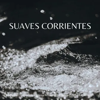 Sueños Diurnos De Perros: Música Relajante Con Sonidos Suaves De Corrientes by Perro dormir