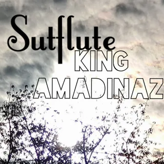 King Amadinaz by Sutflute