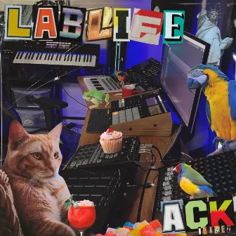 LABLIFE by Unknown Artist