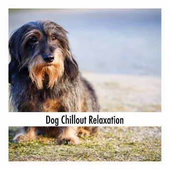 Dog Chillout Relaxation by Calming Doggy Sleep