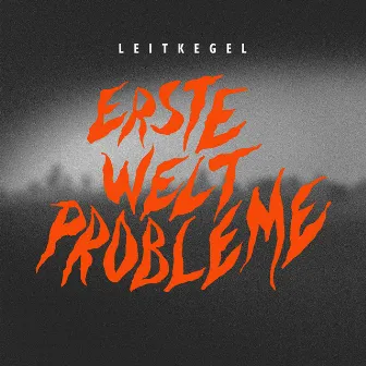 Erste Welt Probleme by Leitkegel