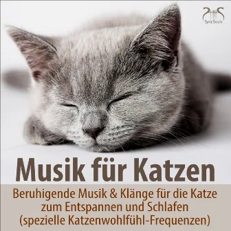 Musik für Katzen - Beruhigende Musik & Klänge für die Katze zum Entspannen und Schlafen (spezielle Katzenwohlfühl-Frequenzen) by Katzen Entspannungsmusik TA