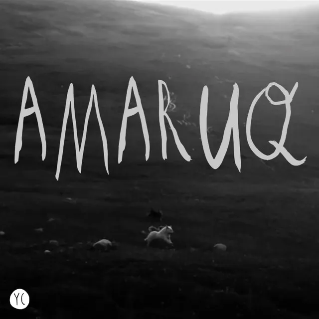 Amaruq