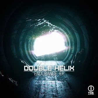 Endurance EP by Double Helix