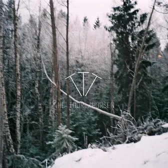 Icy Streets and Artificial Trees by The Thor Thorsen