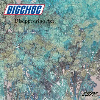 Disappearing Act by Bigchoc