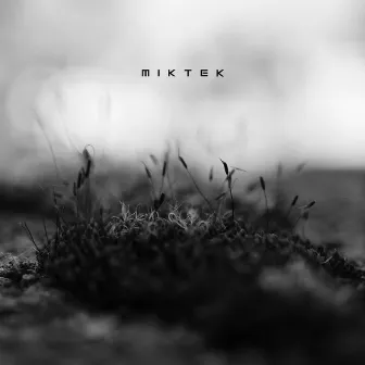 Ambient Network II by MIKTEK