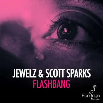 Flashbang by Scott Sparks