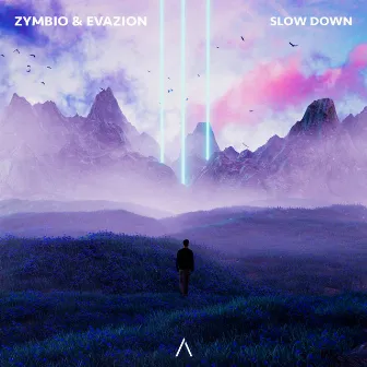 Slow Down by Zymbio