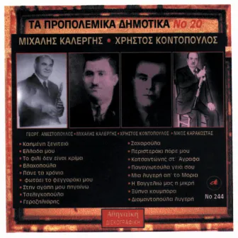 Propolemika Dimotika No 20 by Xristos Kontopoylos