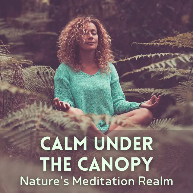 Calm Under the Canopy: Nature's Meditation Realm