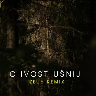 Uśnij (Zeu5 Remix) by Chvost