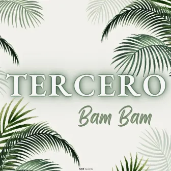 Bam Bam by Tercero