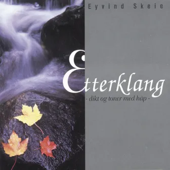 Etterklang - Dikt Og Toner Med Håp by Eyvind Skeie