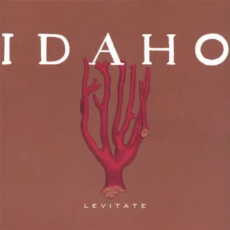 Levitate by Idaho