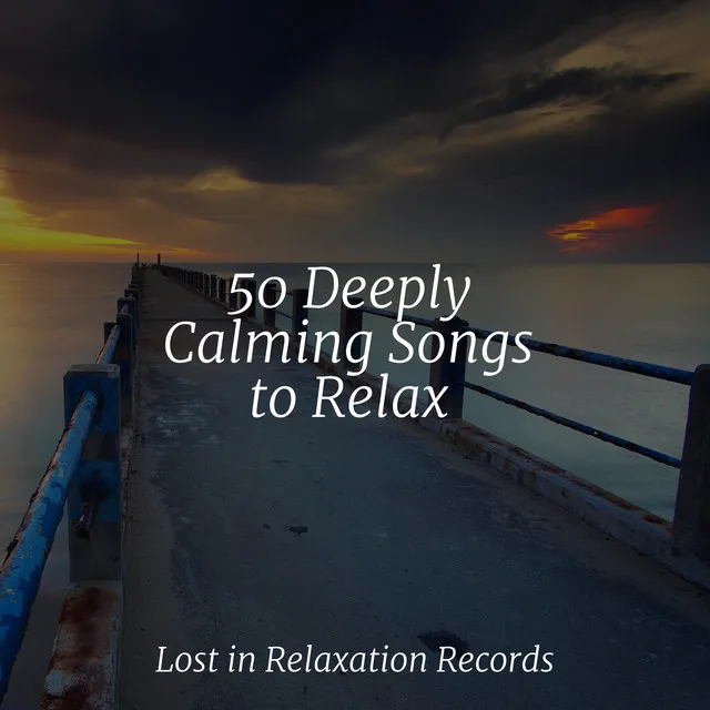 50 Deeply Calming Songs to Relax