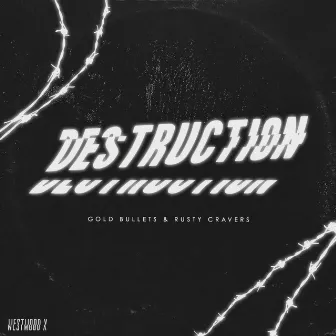 Destruction by Rusty Cravers