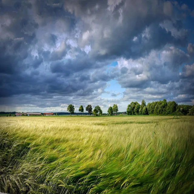 Thunderstorm for Sleep