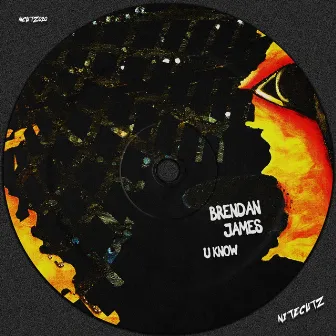 U Know by Brendan James