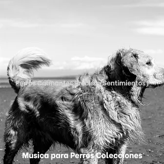 Perros Calmantes Preciso (Sentimientos) by Música para Perros Colecciones